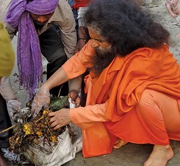 IN SEVA
